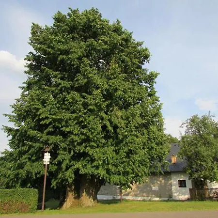 Vendégház Penzion Pastviny